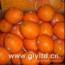 Nouvel an chinois à base de Navel Orange